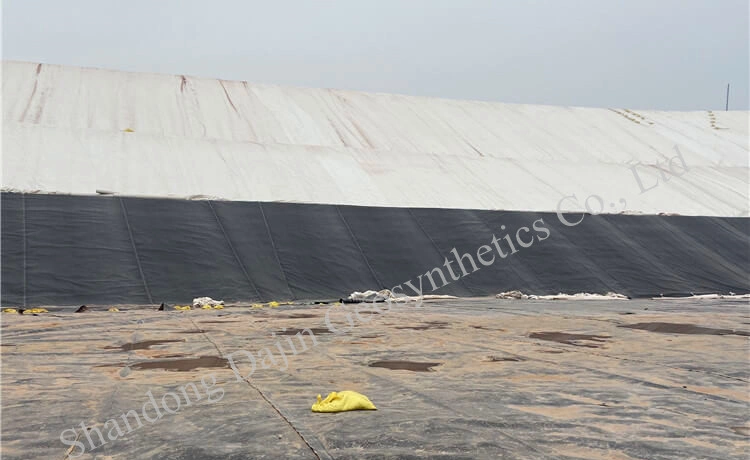 0.3-3mm Thickness Pond Landfill Mining Water Reservoir Lake Liner HDPE Geomembrane