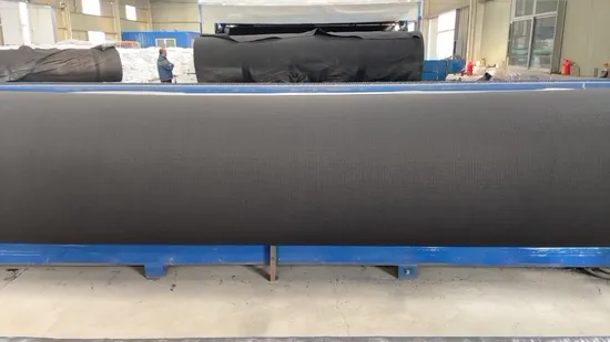 PP/Pet 도로 및 철도 공항 프로젝트 건축 자재 HDPE Geonet